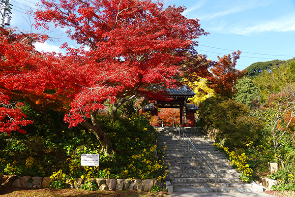 下関の紅葉三名所巡り